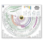 Laminated Bible history chart 45 x 37 inch Bible timeline with world history