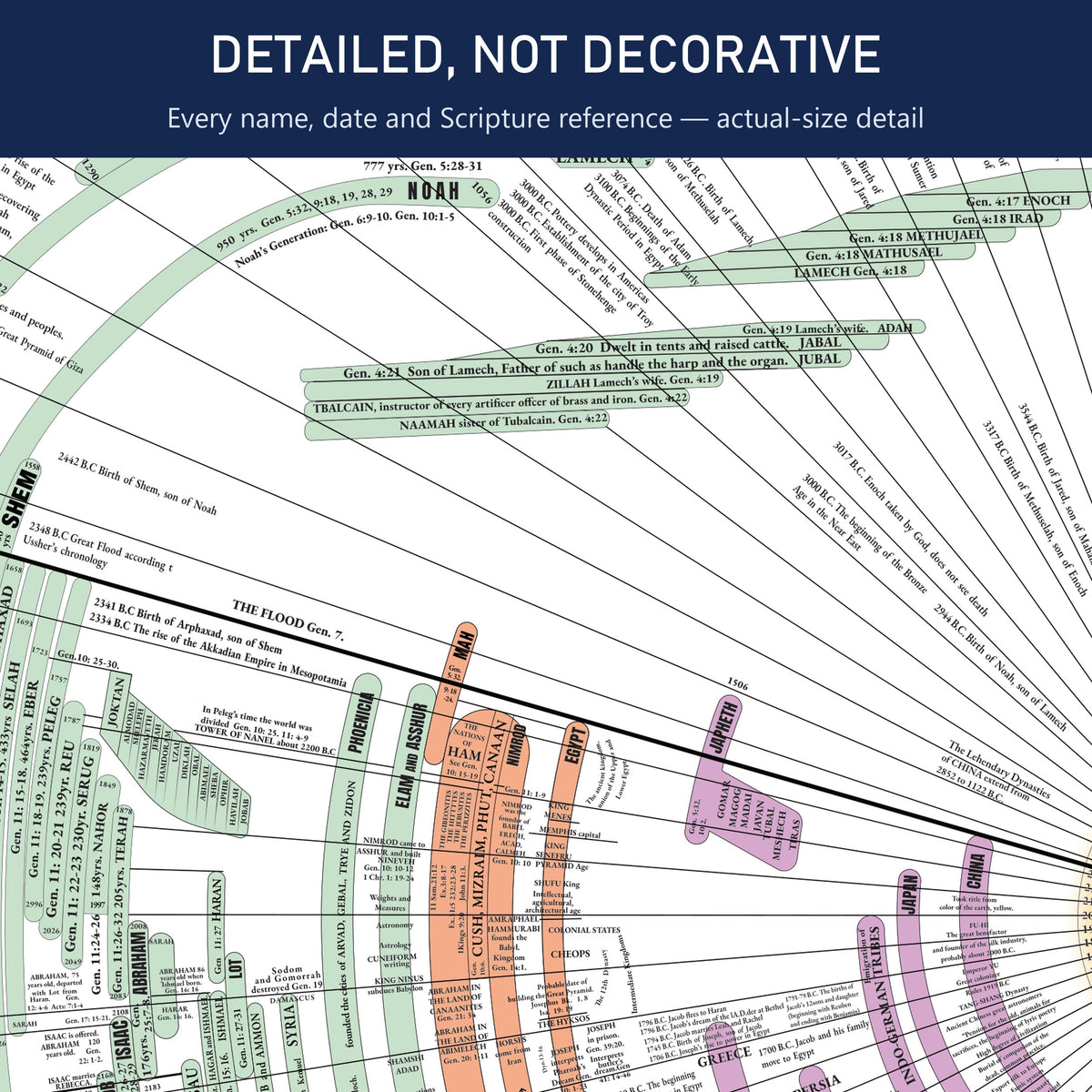 Close-up of Bible timeline chart detail showing Noah, Shem, Abraham and Scripture references