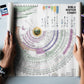 Laminated Bible history timeline chart, 45 x 37 in