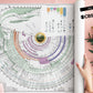 Bible history chart for Bible study and homeschool