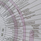 Bible history chart for Bible study and homeschool