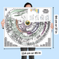Bible timeline wall chart detail with Scripture references