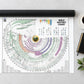 Bible history chart unrolled with its shipping tube